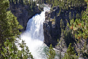 USA Yellowstone<br>NIKON D4, 70 mm, 280 ISO,  1/500 sec,  f : 6.3 